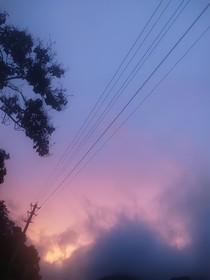 阳光跌落