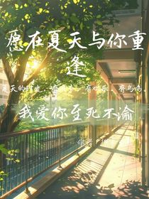 愿在夏天与你重逢