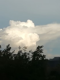 霜落尘埃