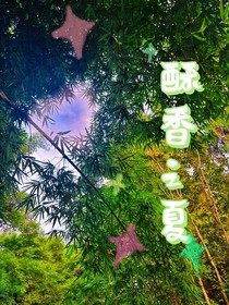 酥香之夏