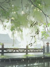 柳清记