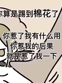 后宫风云录