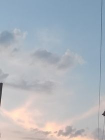 蹲橘子喽