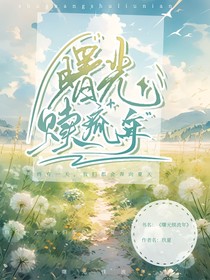 曙光赎流年