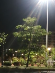 我说盛夏与你！