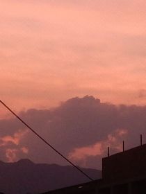 柚糖
