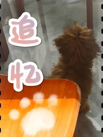 追忆——我与你的时光