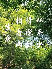 从年少情深到相看两生厌