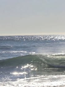 花朝季