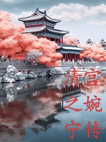 清宫之婉宁传