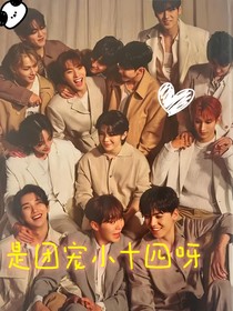 seventeen：是团宠14呀