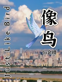 像鸟