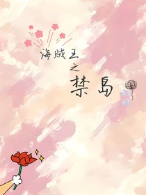 海贼王之禁岛