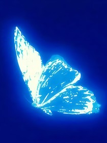 数码宝贝6痛名蝶