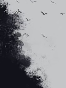 風(fēng)與槐花瓣