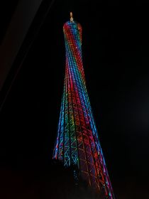 我厕所的知音