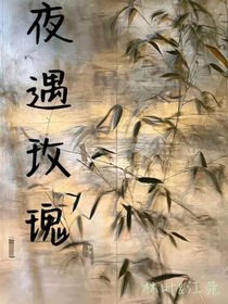 夜遇玫瑰