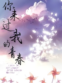 你來過我的青春