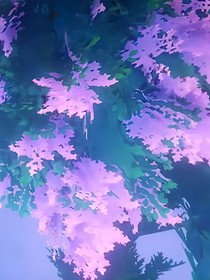 双秦雨