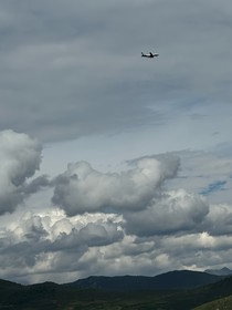 捧明月入怀中