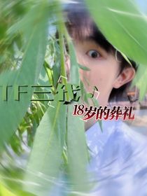 TF四代：18歲的葬禮