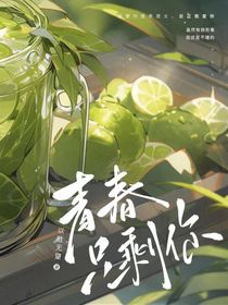桦树林的相遇