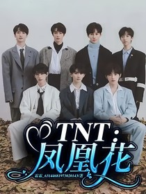 TNT：凤凰花