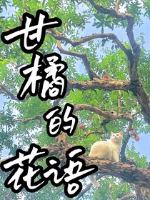 甘橘的花语