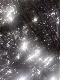 流星下共同的愿望