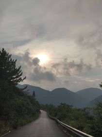 皮淵你有病啊