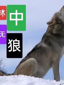 林中無狼