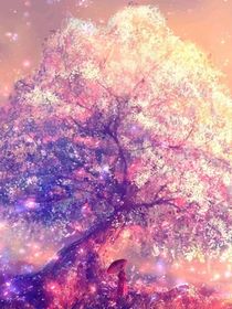 相遇！在樱花树下