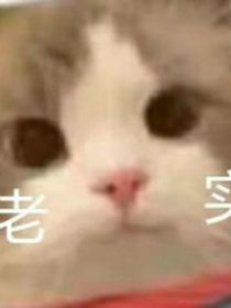 知知绝色