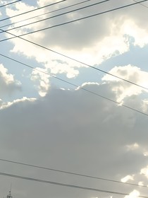 公司電話