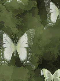 在风中醒来