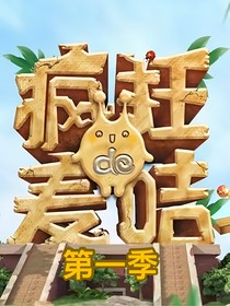 疯狂的麦咭1