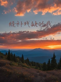 缝补残缺的我