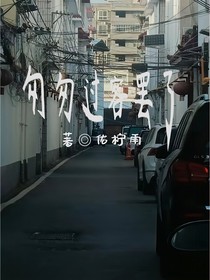 匆匆过客罢了