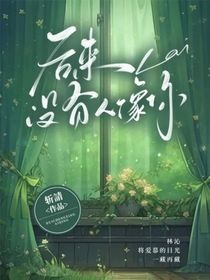 后来没有人像你