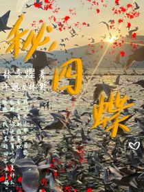 秘四蝶