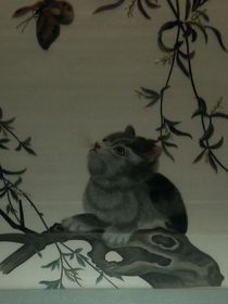 星际猫行者