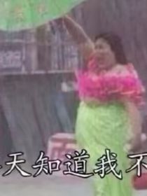 劍仙扶搖