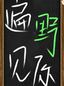 遍野见你