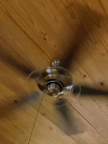 见今夏