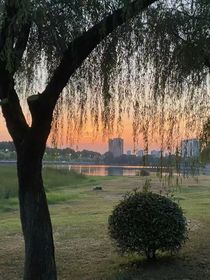 盛夏之别