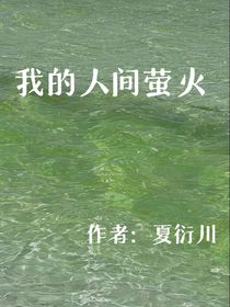我的人间萤火