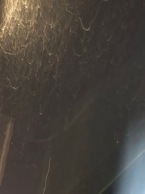 傳播文化才能回到我的世界