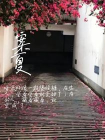 案夏