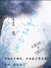 一闪而过的光