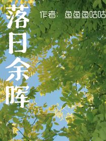 夕阳下的重逢